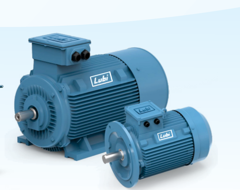 Lubi industrial induction motors